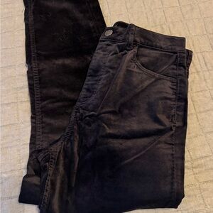 NWT Loft Black Velvet Skinny Pants 5 pocket sophisticated women’s petite sizes